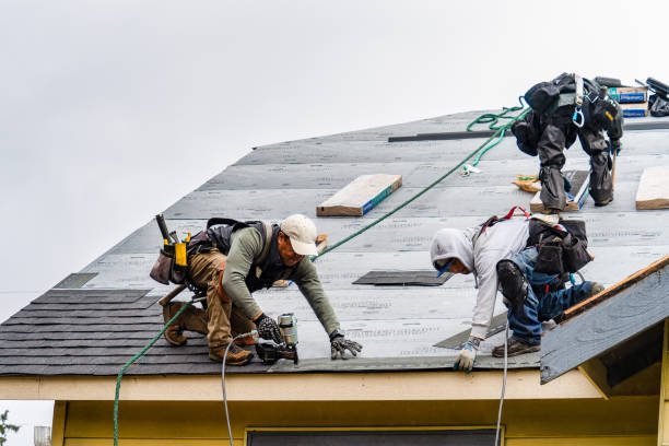 Professional Gutter Installation technician working in New Hope, MN